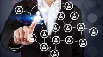 如何選擇專業的企業管理咨詢與IT獵頭服務